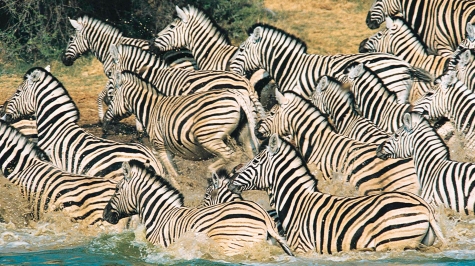 LO MEJOR DE SUDAFRICA